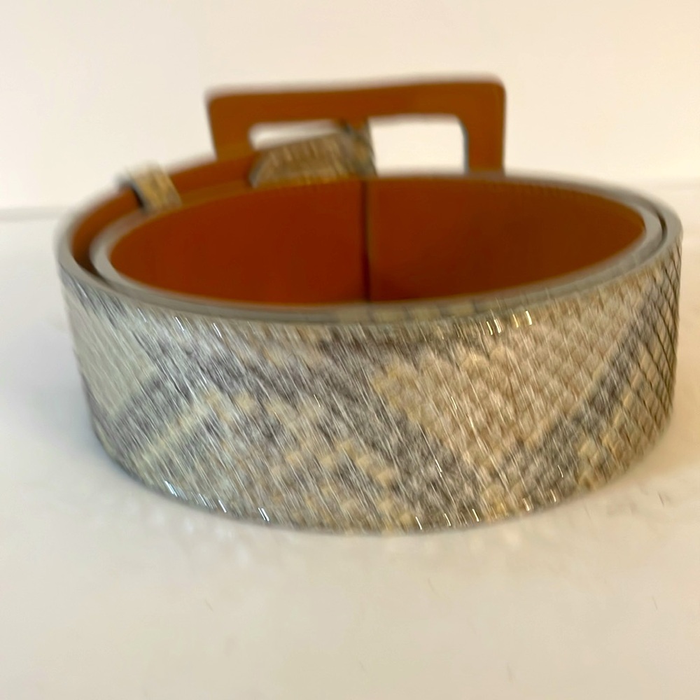 Python Snake Belt Silver 31” - image 2